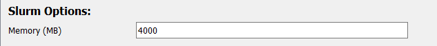 Screenshot of the slurm options area in the dialog